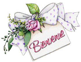 Gif animé bienvenue carte